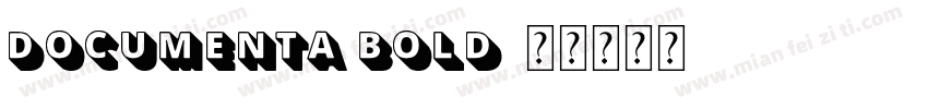 Documenta Bold字体转换